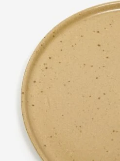 DOR & TAN Everyday Dinner Plate - Spelt & Speckled 10 DOR & TAN Everyday Dinner Plate - Spelt & Speckled -Home Decoration&Supplies 93706 F DOR 26 TAN EVERYDAY DINNER PLATE SPELT 26 SPECKLED SS23 GOODHOOD 34995