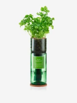 Hydro-Herb Grow Your Own Flat Parsley - Multi -Home Decoration&Supplies Flat Parseley 3