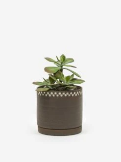 Mellow NYC Short Stout Planter - Dark Brown Small Embossed Painted Check -Home Decoration&Supplies MELLOW SHORT STOUT PLANTER DARK BROWN SMALL EMBOSSED PAINTED CHECK SS21 GOODHOOD 64362 c70aa4b0 ea26 45aa 9d91 ad994a2495ce